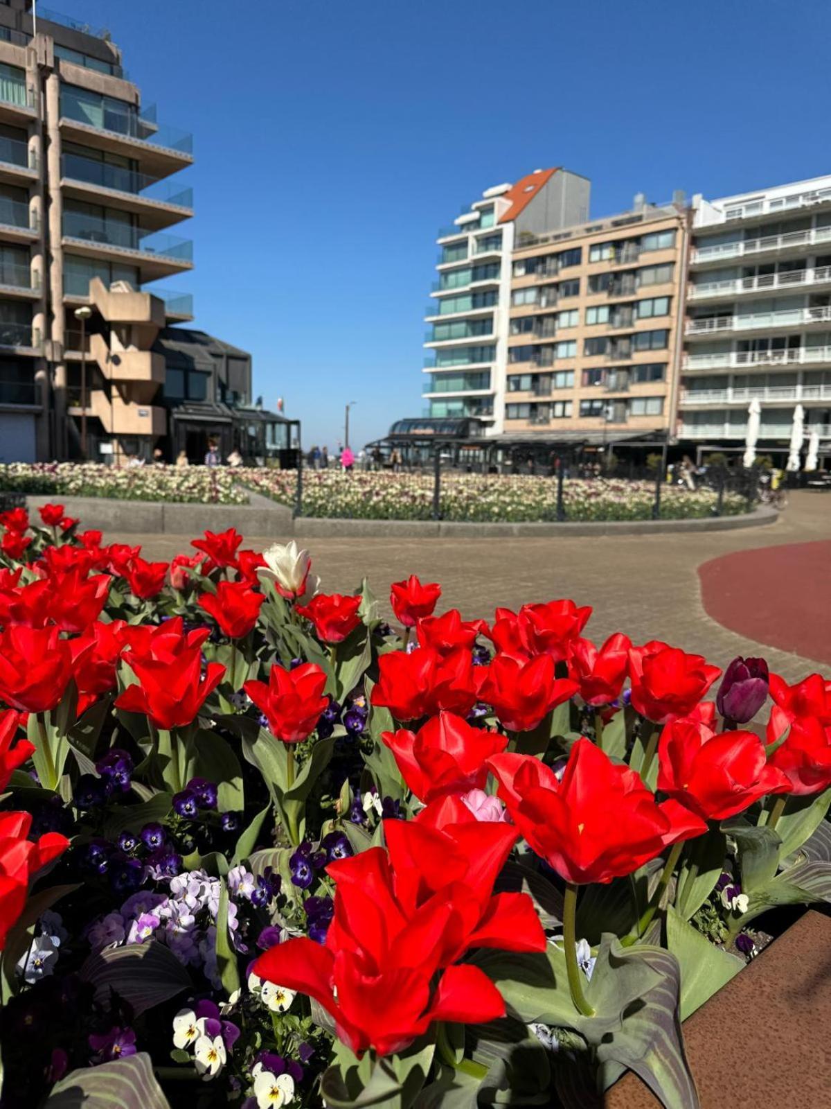 Luxe Studio/Suite Met Zeezicht En Volle Zon Knokke-Heist Ngoại thất bức ảnh