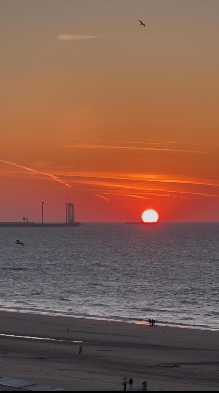 Luxe Studio/Suite Met Zeezicht En Volle Zon Knokke-Heist Ngoại thất bức ảnh